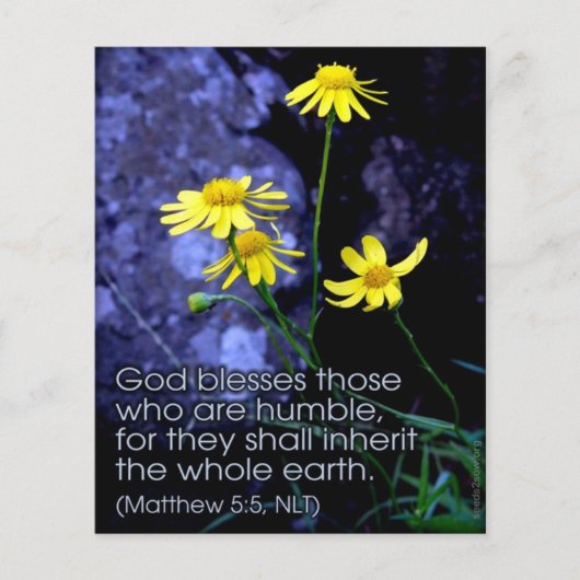 Gezegend is de Meek Flyer (Voorkant)