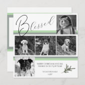 Gezegend Modern 5 Foto Groene Pine Branch Kerstmis Feestdagenkaart (Voorkant / Achterkant)