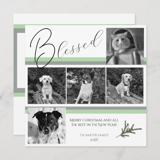 Gezegend Modern 5 Foto Groene Pine Branch Kerstmis Feestdagenkaart (Voorkant / Achterkant)