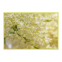 Gezegend zijn de Pure in Heart