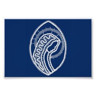 Gezegende Maagd Maria, witte kant, marineblauw Foto Afdruk
