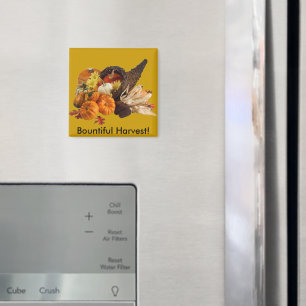 Gezegende overvloedige oogst Kleurrijke hoorn des  Magneet