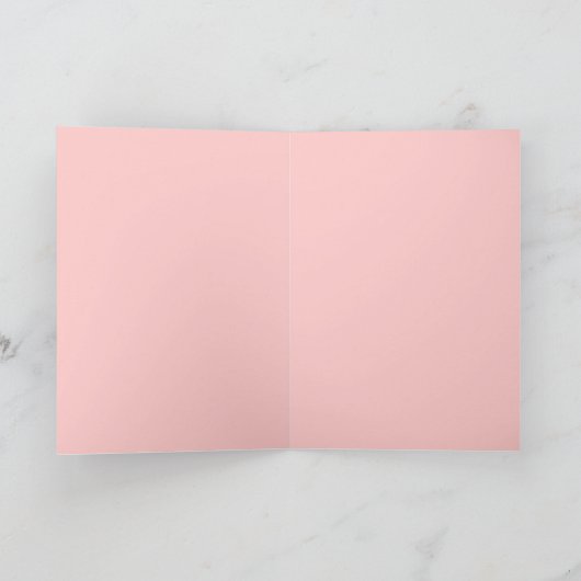 Gezellig Cat Café Moment (Binnen)