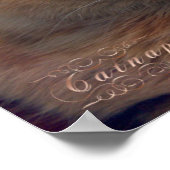 Gezellig Catnap Poster (Hoek)