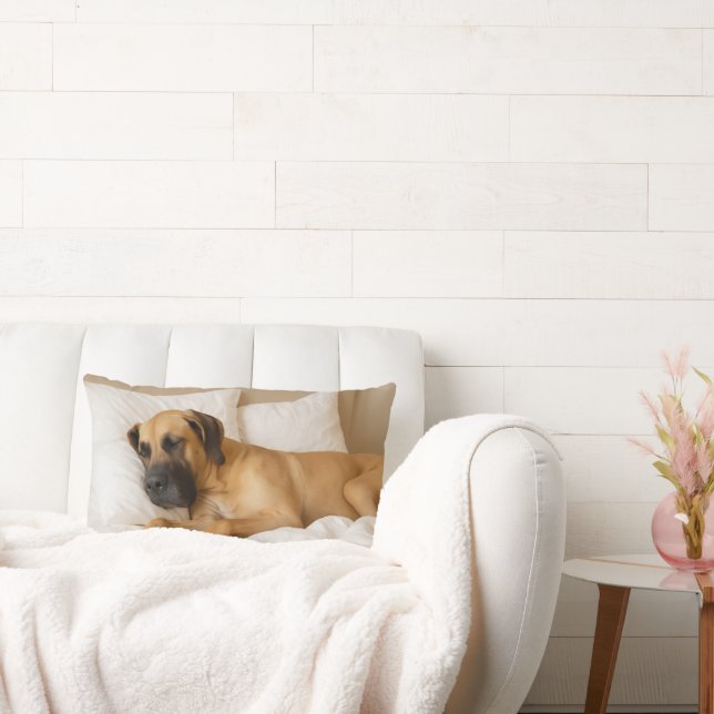 Gezellig Grote Deen Lumbar Kussen (Bank)