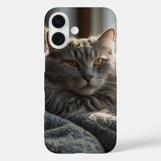 Gezellig kattendutje Case-Mate iPhone case (Achterkant)