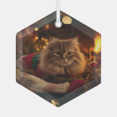 Gezellig Kerstkat Ornament  (Voorkant)