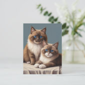 Gezellig paar Ragdoll Cats Fluffy Pet Art Briefkaart (Staand voorkant)