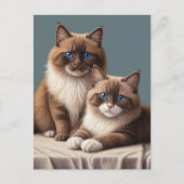 Gezellig paar Ragdoll Cats Fluffy Pet Art Briefkaart (Voorkant)