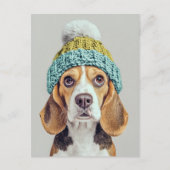 Gezellige Beagle in een Winter Knit Pet Briefkaart (Voorkant)