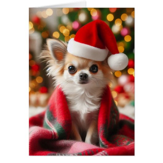 Gezellige Chihuahua Christmas Kaart (Voorkant)