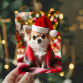 Gezellige Chihuahua Christmas Kaart