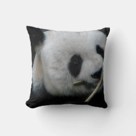 Gezellige Dierendecoratie Kussen