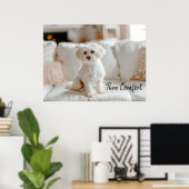 Gezellige Elegantie: Maltees op de sofa Poster (Thuiskantoor)