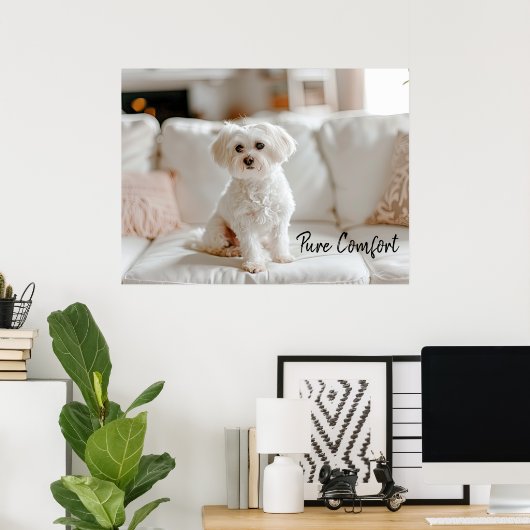 Gezellige Elegantie: Maltees op de sofa Poster (Thuiskantoor)