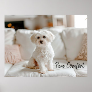 Gezellige Elegantie: Maltees op de sofa Poster