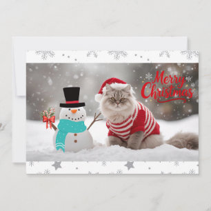 Gezellige Exotische Korthaar Kat Kerstmis geperson