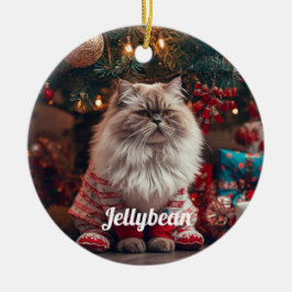 Gezellige Exotische Korthaar Kat Kerstmis geperson Keramisch Ornament