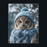 Gezellige grillige Winter Wonderland Uil Briefkaart<br><div class="desc">Stuur een vleugje wintermagie met dit Cosy Whimsical Winter Wonderland Uil Briefkaart. Deel de charme van uilen en de warmte van het seizoen met je dierbaren. Ideaal voor uilenliefhebbers en degenen die de magie van de winter aanbidden.</div>