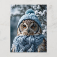 Gezellige grillige Winter Wonderland Uil