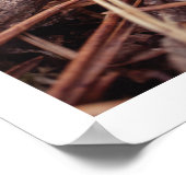 Gezellige herfst dennenappel herfstboerderij muurk poster (Hoek)