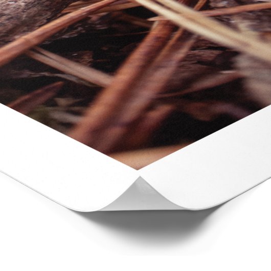 Gezellige herfst dennenappel herfstboerderij muurk poster (Hoek)