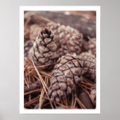 Gezellige herfst dennenappel herfstboerderij muurk poster (Voorkant)