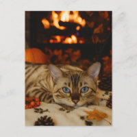 Gezellige Herfstkat Haard Warm Herfst Ansichtkaart