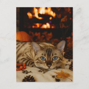 Gezellige Herfstkat Haard Warm Herfst Ansichtkaart Briefkaart
