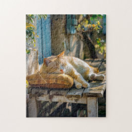 Gezellige kat die slaapt in de tuin op een bank legpuzzel