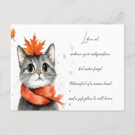 Gezellige kat in een sjaal briefkaart