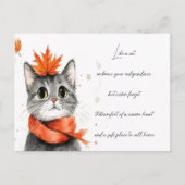 Gezellige kat in een sjaal briefkaart (Voorkant)