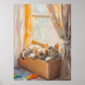 Gezellige Kittens Slapen in het zonlicht - Impress Poster (Voorkant)