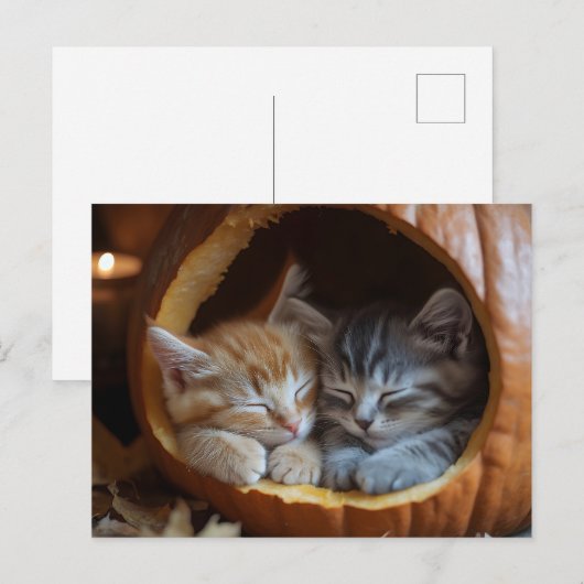 Gezellige Kittens Snuggle in een pompoen Briefkaart (Voorkant / Achterkant)