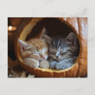 Gezellige Kittens Snuggle in een pompoen Feestdagenkaart