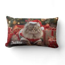 Gezellige Maine Coon Kat Kerstmis gepersonaliseerd