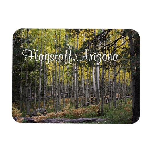 Gezellige plek in Flagstaff Magneet (Horizontaal)