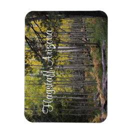 Gezellige plek in Flagstaff Magneet