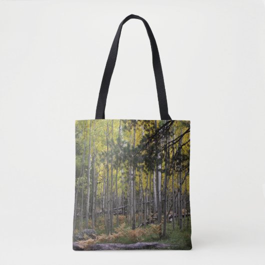 Gezellige plek in Flagstaff Tote Bag (Voorkant)