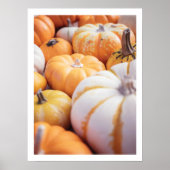 Gezellige pompoen herfst foto warme boerderij deco poster (Voorkant)
