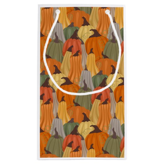 Gezellige pompoenen klein cadeauzakje (Achterkant)