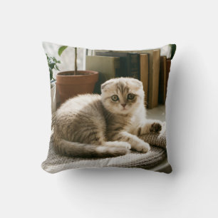 Gezellige Schotse Fold Kat Dekkuskussen Kussen