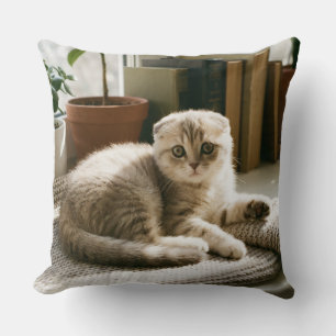 Gezellige Schotse Fold Kat Dekkussen Kussen