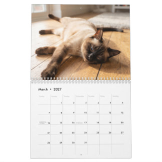 Gezellige slapende katten | Mooie kattenkalender Kalender
