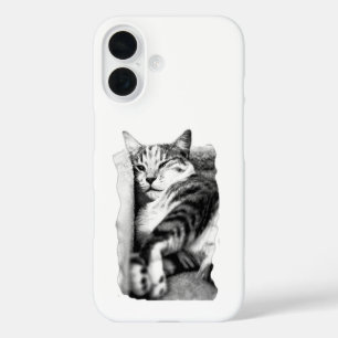 Gezellige Tabby Cat Portrait Telefoonhoes iPhone 16 Hoesje