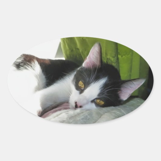 Gezellige Tuxedo Cat Sticker (Voorkant)