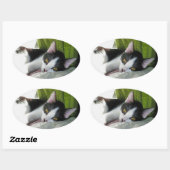 Gezellige Tuxedo Cat Sticker (Vel)