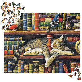 Gezellige veelkleurige realistische bibliotheek Ca Legpuzzel