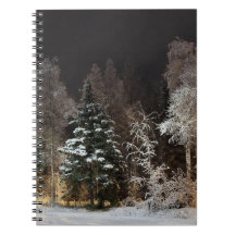 Gezellige Winter Bos Nacht Scene