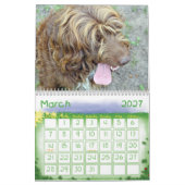 gezelschapsdieren 2012 kalender (Mar 2027)